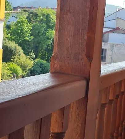 Apartamentos El Pigazu Cangas de Onis Exterior photo